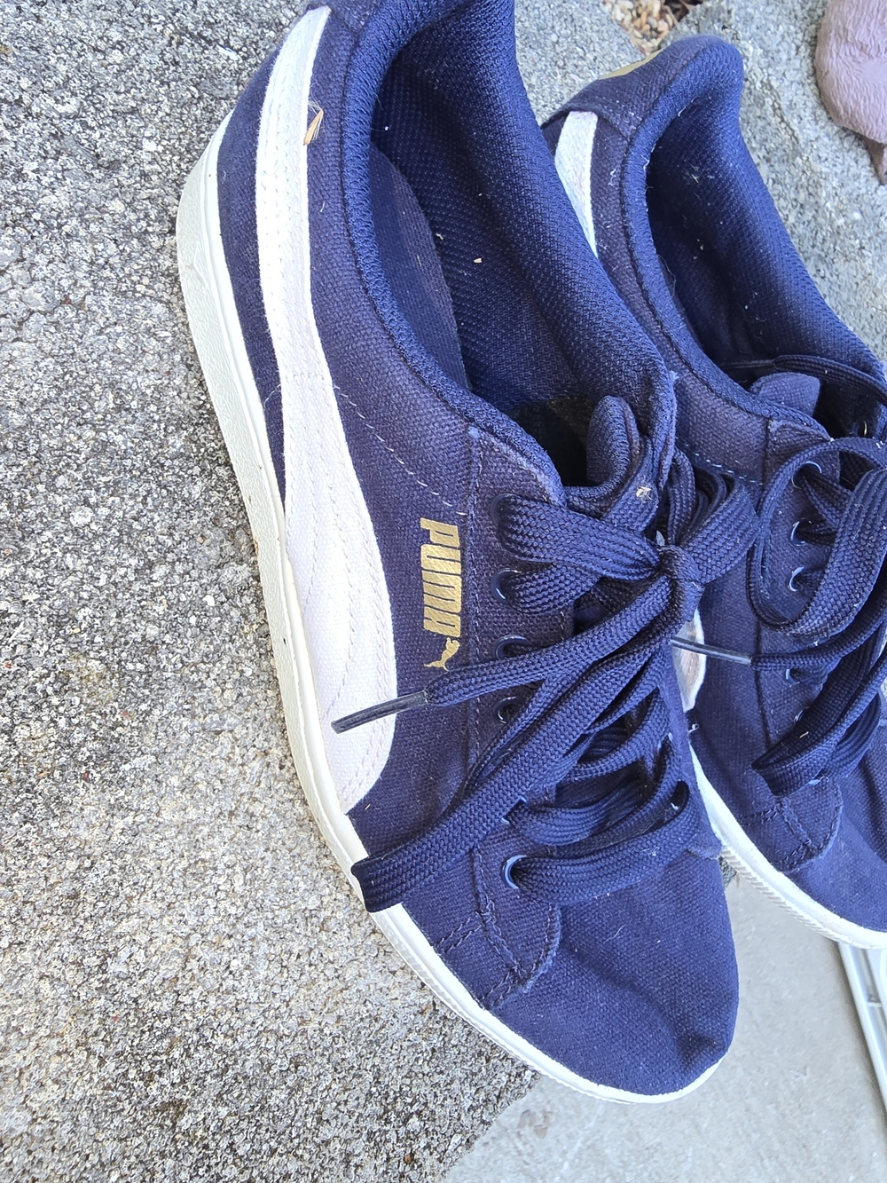 Puma Navy Canvas Sneakers with White Stripe